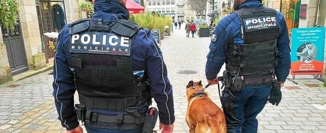 Brigades cynophiles de police municipale : nouvelles règles de formation pour les agents déjà en poste