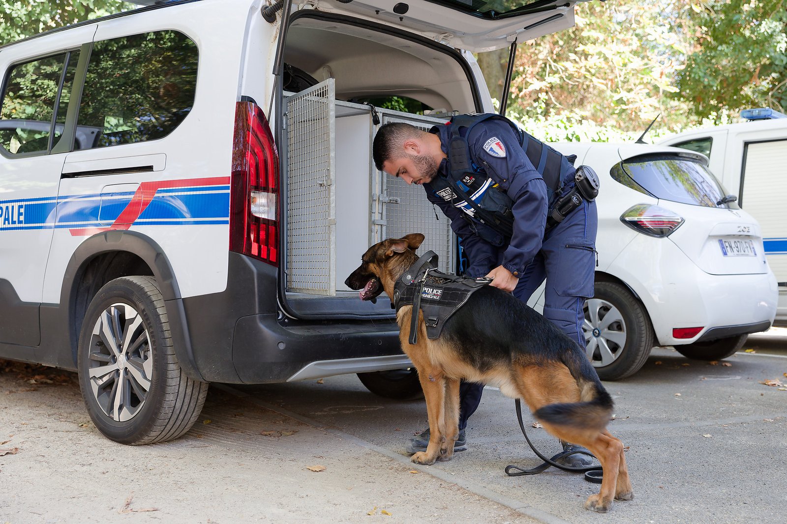 Policier municipal avec un chien d'une brigade cynophile