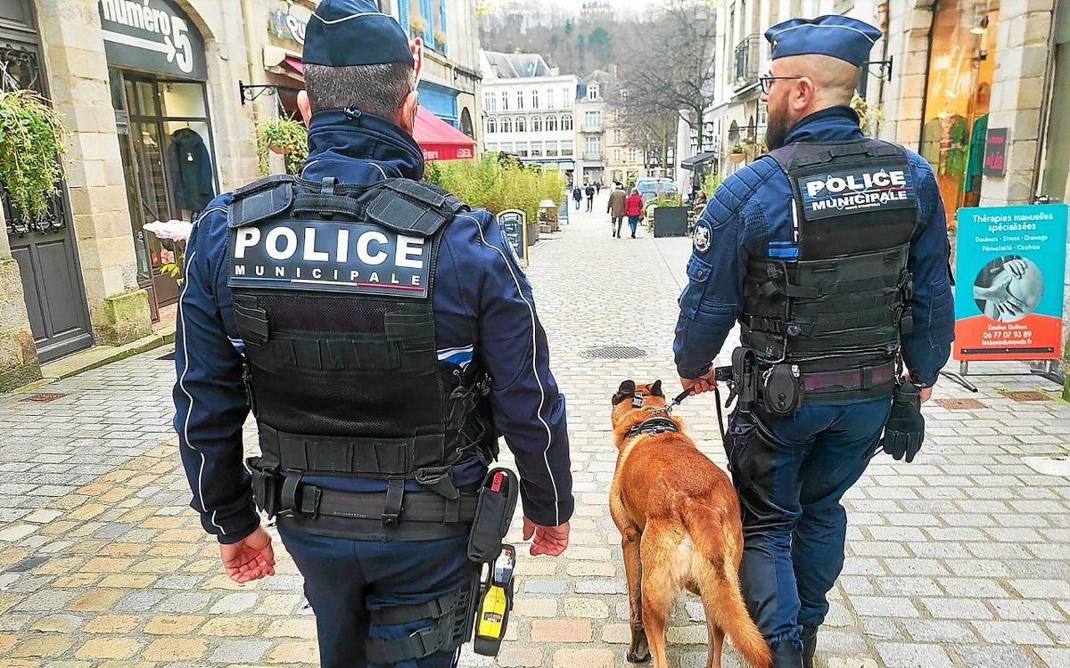 Brigades cynophiles de police municipale : nouvelles règles de formation pour les agents déjà en poste