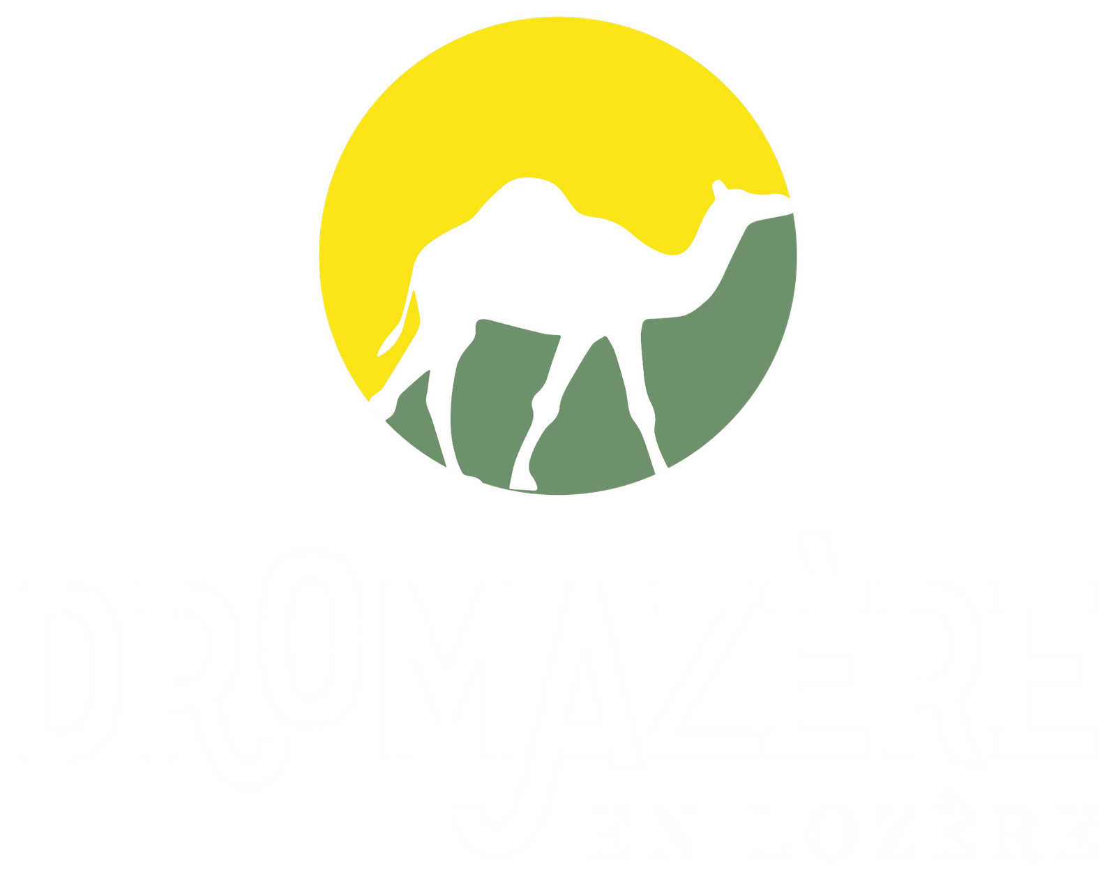 Dromazère